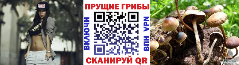 Псилоцибиновые грибы Psilocybine cubensis  цены наркотик  Мурманск 