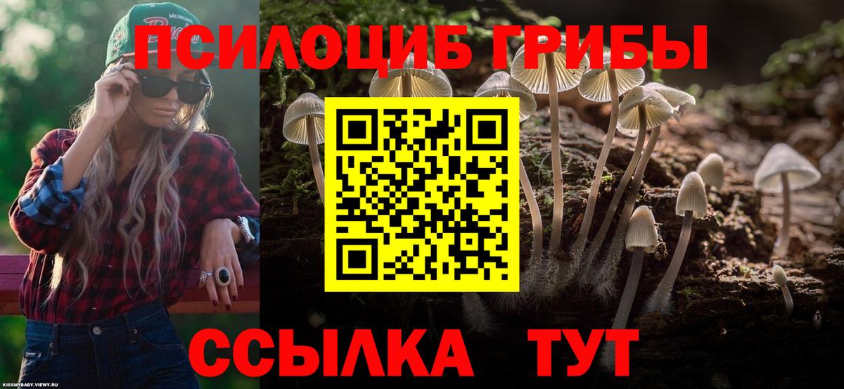 Галлюциногенные грибы ЛСД  Галлюциногенные грибы MAGIC MUSHROOMS  Мурманск  Вход с VPN 